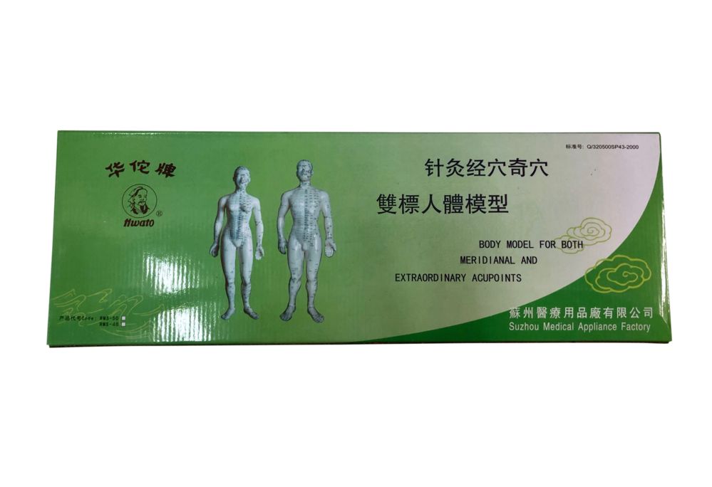 ren ti xue wei mo xing 80 human body model showing acupoints 80cm