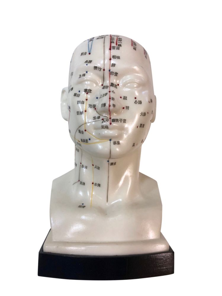tou bu xue wei mo xing head model showing acupoints
